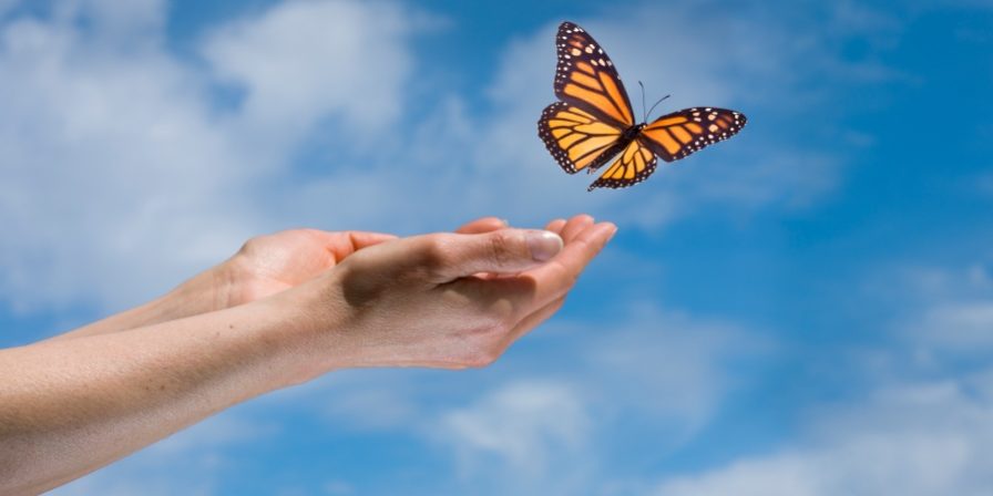 ΖΩΗ – ΘΑΝΑΤΟΣ ΖΩΗ - ΘΑΝΑΤΟΣ