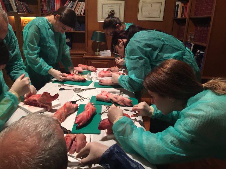 Συρραφη τραυματος, προχωρημένο επίπεδο